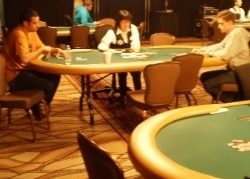 Jelly: WSOP 15-20