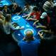 CPF: Event#1 - Openning tournament