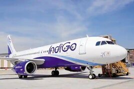 Čtyřicítku na Synotu ovládli v posledních dnech Indigo a Chintufat
