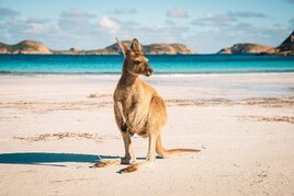 ČPT Online: Ve WarmUpu zvítězil &quot;queensland&quot;, LuckyBird konečně v ITM!