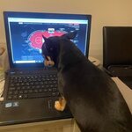 ČPT červenec: Čtyři online turnaje s celkovou garancí 1 milion!