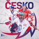 Banco Casino Praha: Bonusová tipovačka na výsledky zápasů MS v hokeji a CG freeroll 