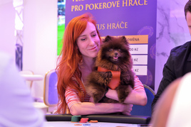 ŽIVĚ: ALL INN with Stars #10 - 250.000 Kč GTD