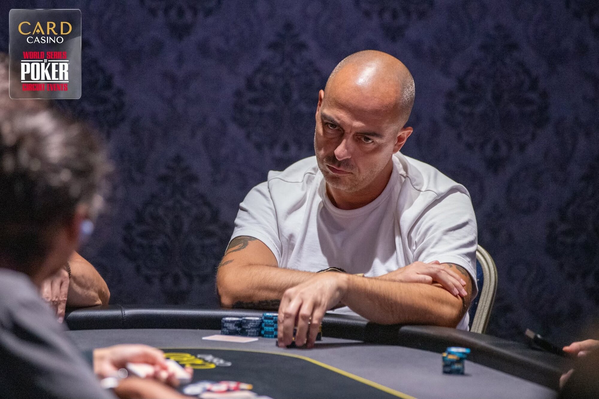 petr litera card casino 2026 petr litera card casino 2026