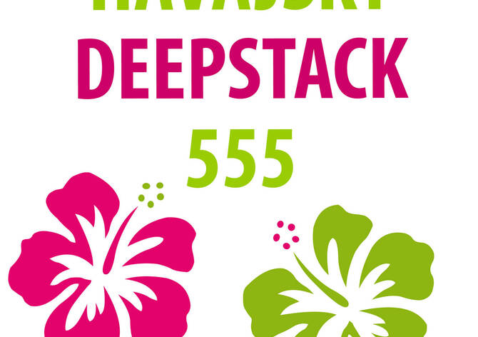Showdown: Havajský deepstack s garancí 55.500 Kč!