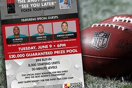 Hráči Miami Dolphins nesměji hrát poker. Ani za drobné!