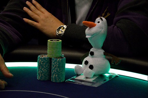 card protector