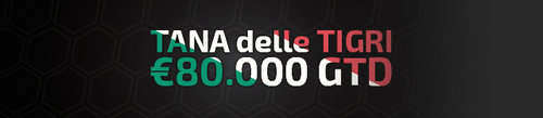 tdt80000-en