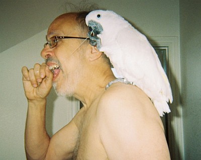 david Sklansky