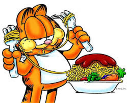 Garfield2
