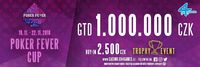 900x300_Poker fever cup