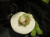 DSCN5973